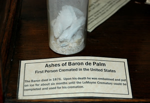 The Ashes of Baron Palm