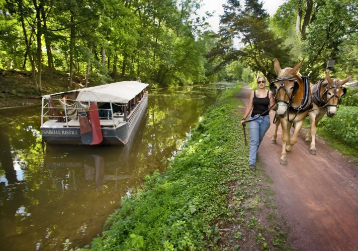 Mules pulling a barge along the Delaware Canal