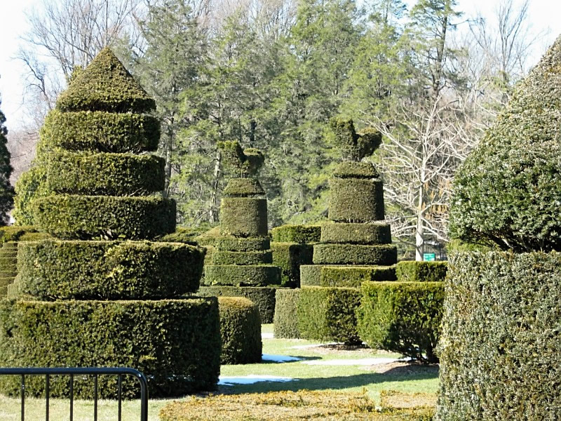Sculpted plants at Longwood Gardens