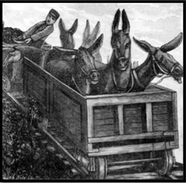 Drawing of mules riding in a coal car