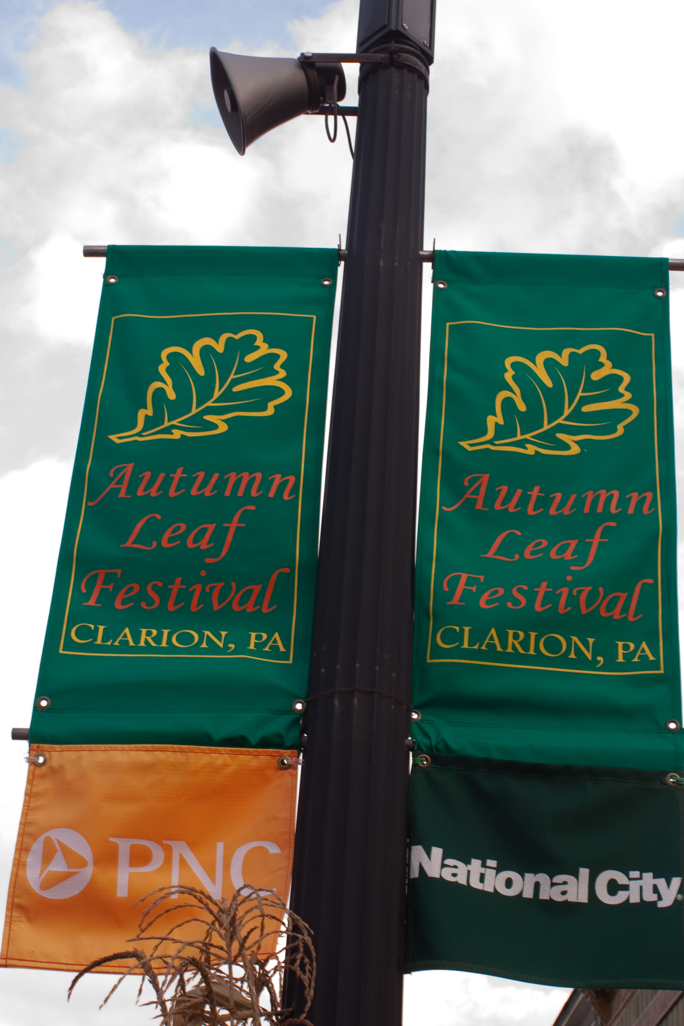 Street banners for the Autumn Leaf Festival