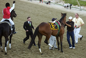 Barbaro Comes Up Lame in the Preakness