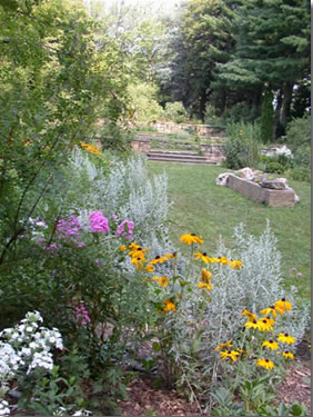 flowers in the Arboretum Gardens