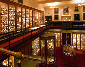 Inside of the Mutter Museum