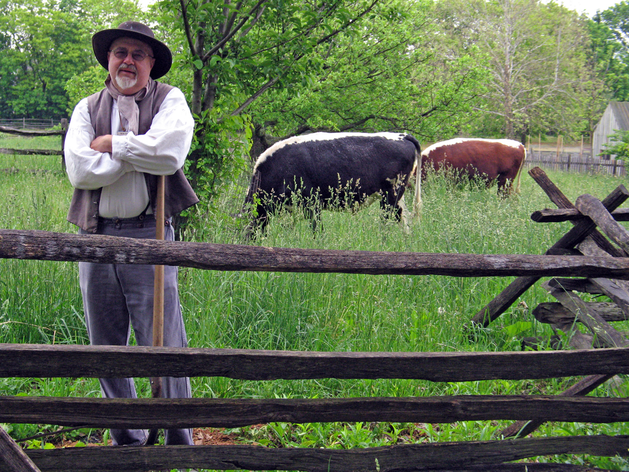 Interpreter and American Lineback Cows