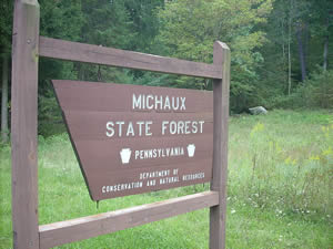 Michaux State Forest