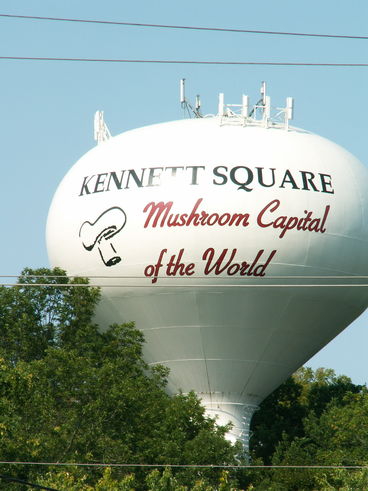 Kennett Square's Water Tower proclaims it the Mushroom Capital of the World