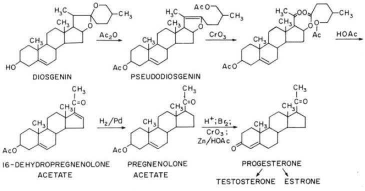 Chemical diagrams depicting the sequence of compounds leading to synthetic progesterone