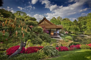 Shofuso Japanese House Tea Garden