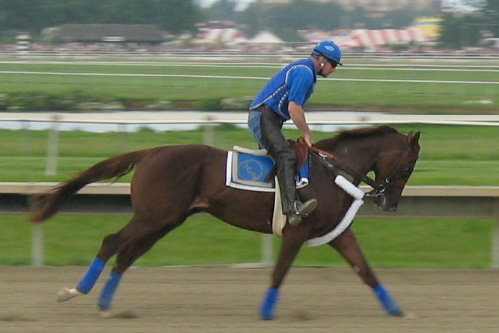 Smarty Jones Works Out