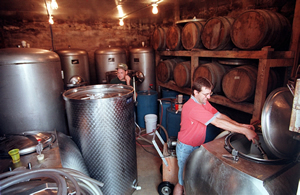 Wine Fermentation Process
