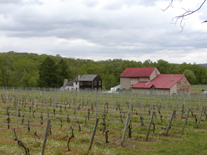 French Creek Ridge Vineyards