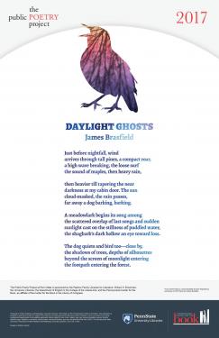 Daylight Ghosts