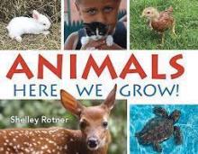 Animals Here We Grow! book cover
