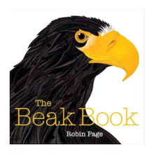 The Beak Book Cover