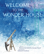 Welcome to the Wonder House book cover